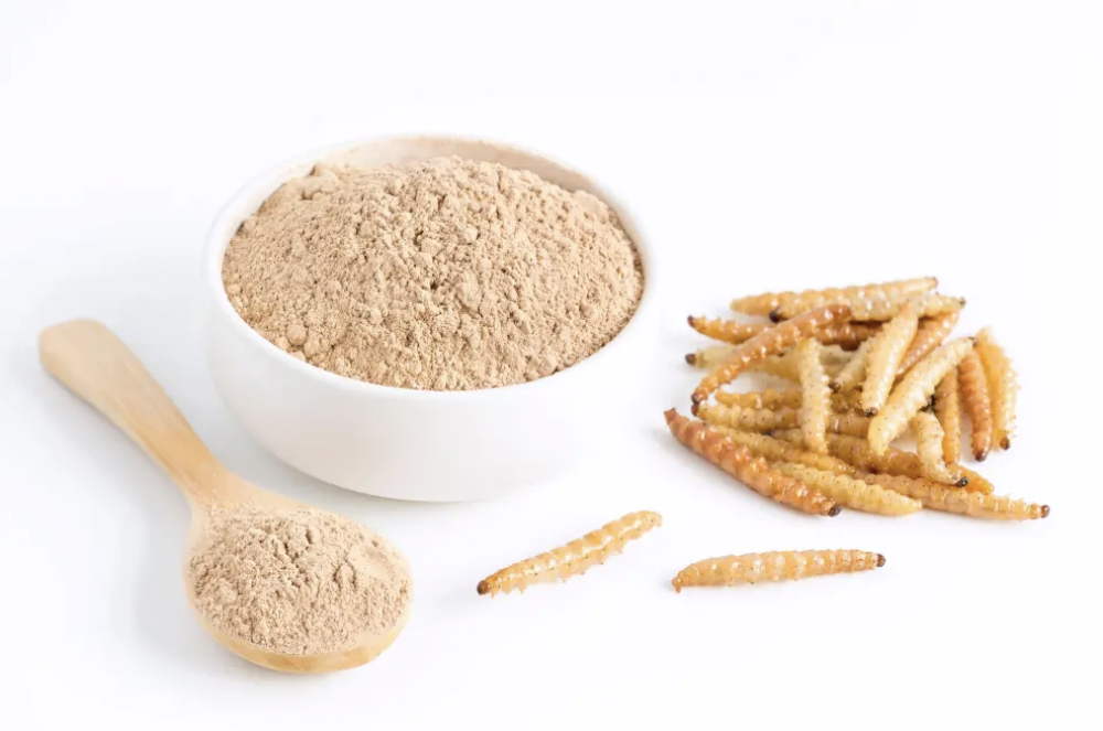 Afbeelding verwijderd.