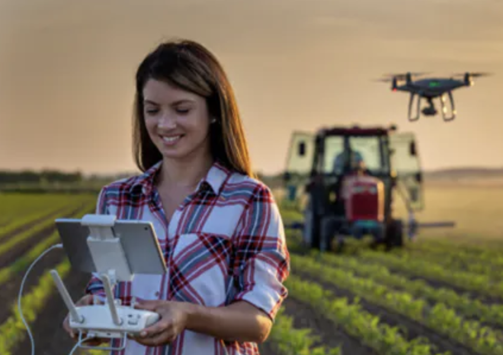 Afbeelding verwijderd.