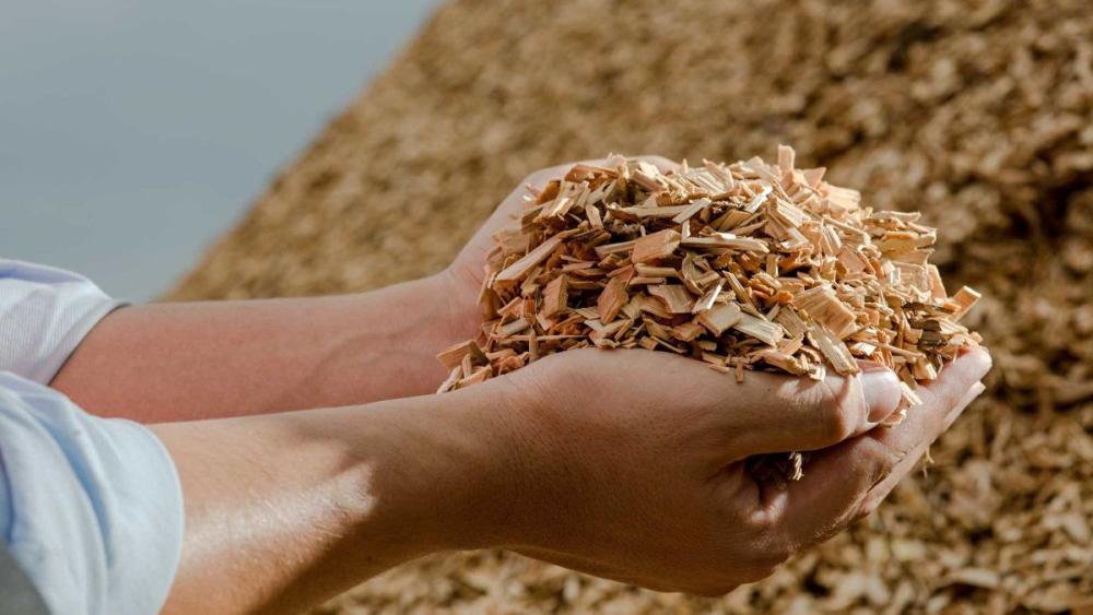 Afbeelding verwijderd.