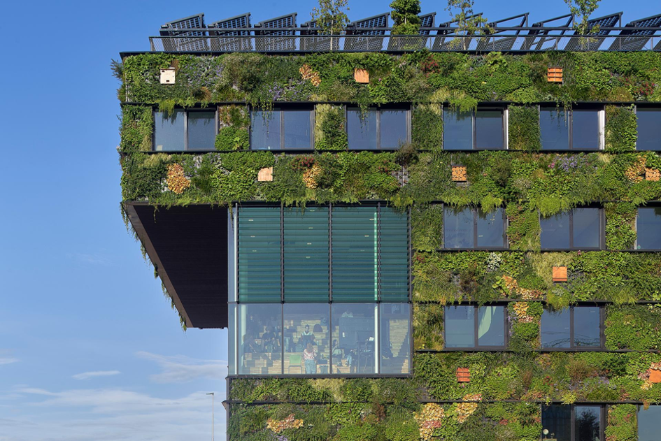 Economic Mission Climate Technology