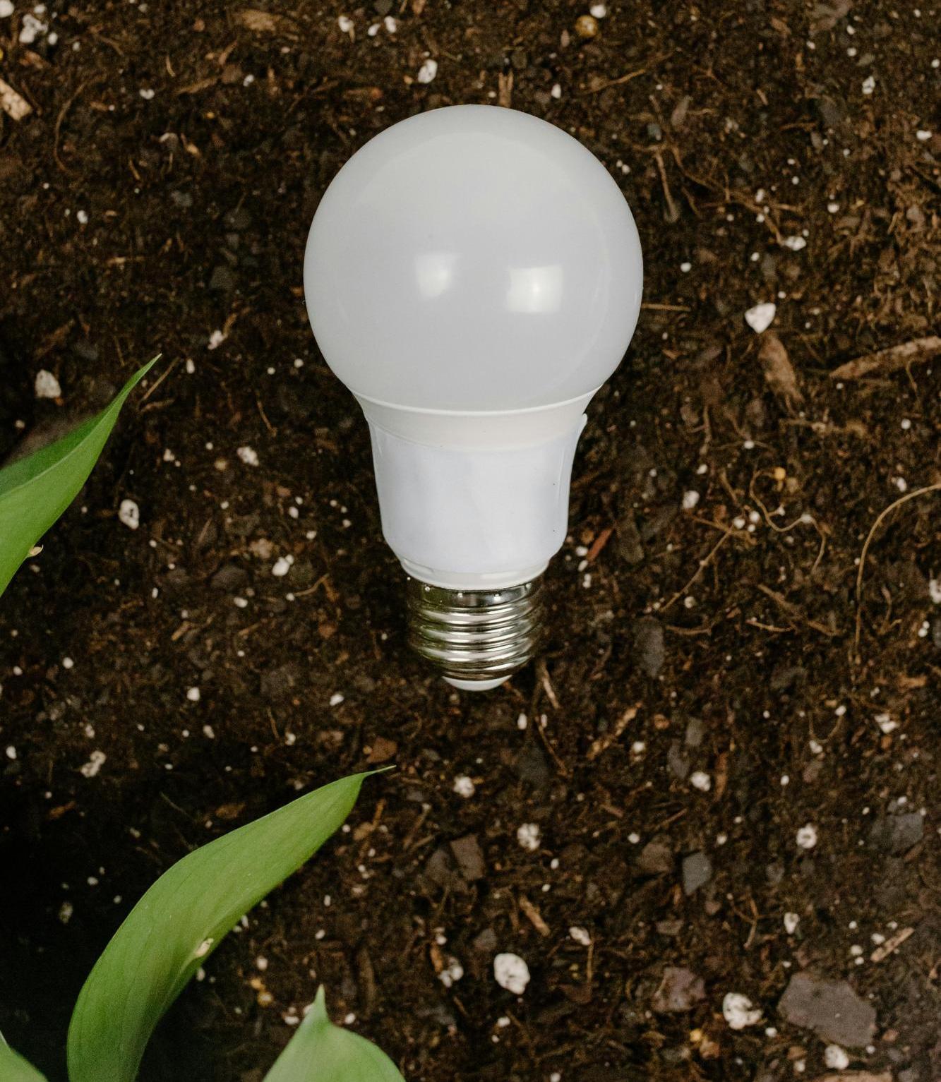 lightbulb ground