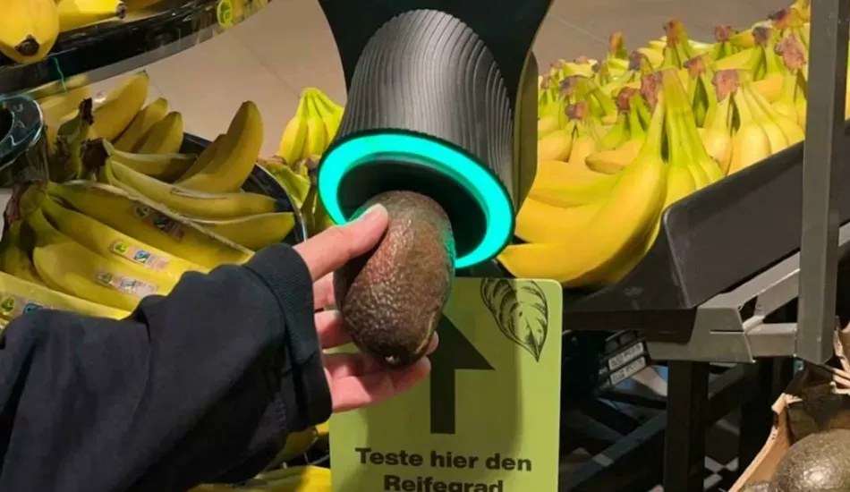 avocado scanner