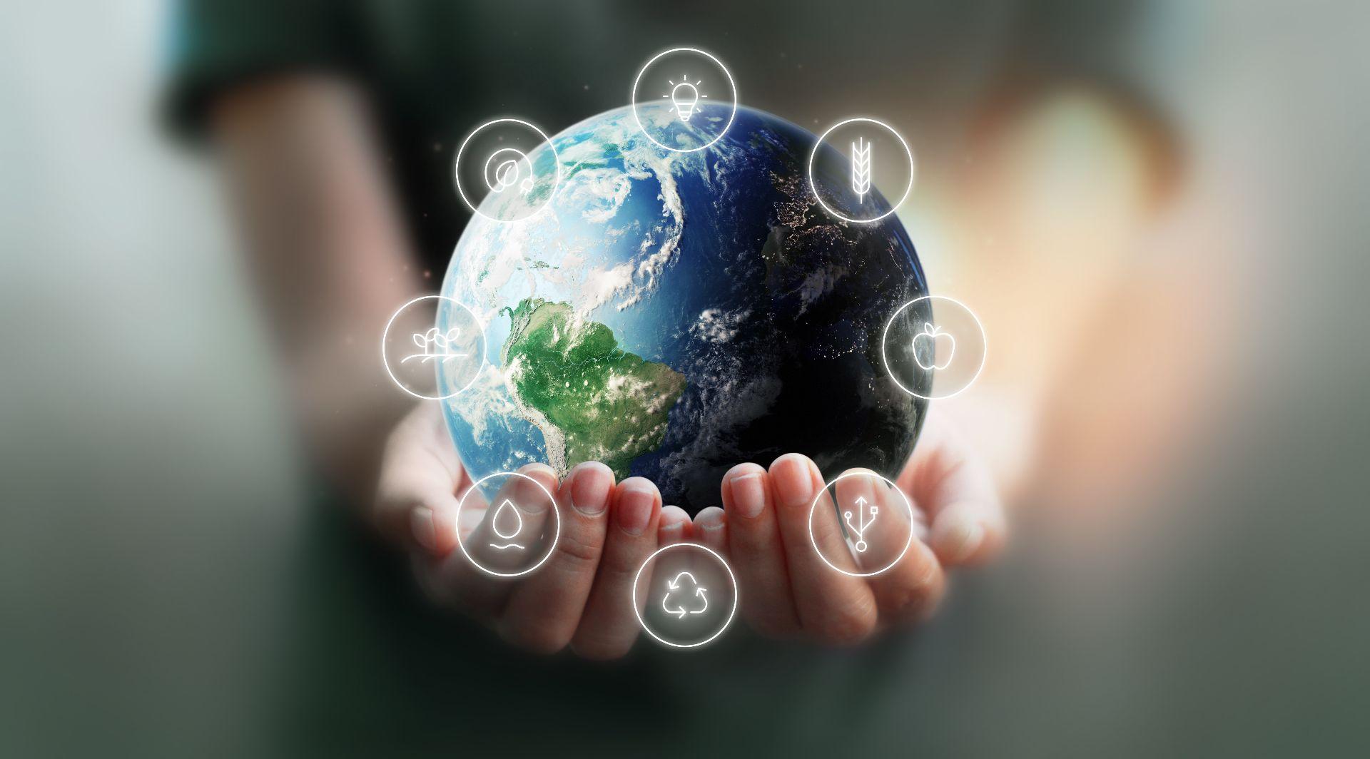 Business Innovation Program Food (BIPF).